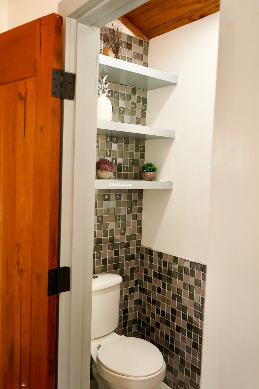 Toilet in casita with door for privacy