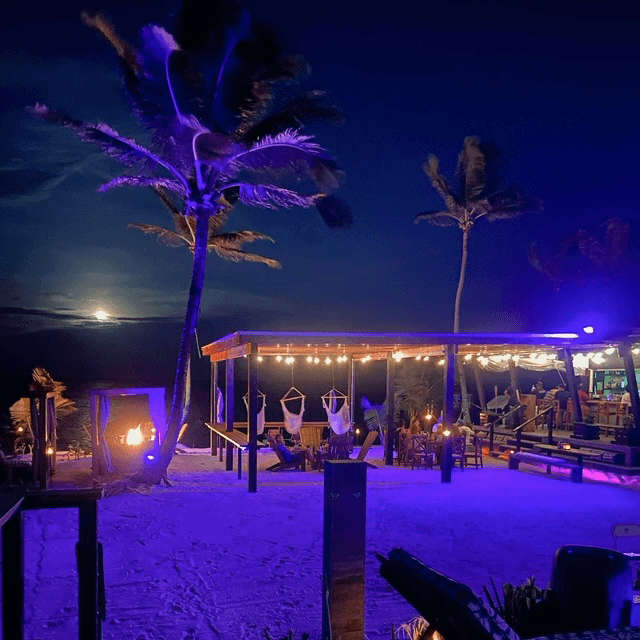A beachside bar illuminated by colorful lights under a night sky with a full moon and swaying palm trees.