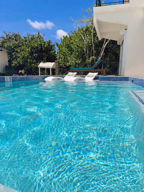 A clear pool with white loungers surrounded by green foliage and a bright blue sky.