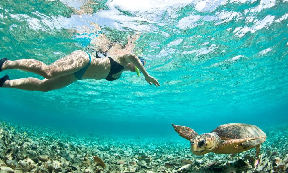 A woman snorkeling over a sea turtle and reef near Ambergris Caye.