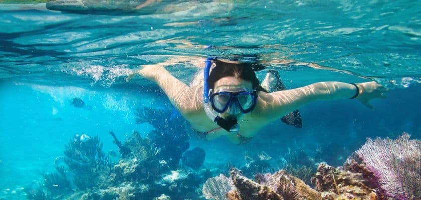 A snorkeler swims over vibrant coral reefs in clear blue water.