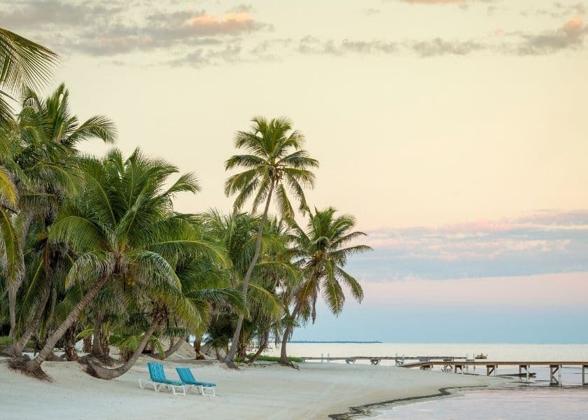 A serene beach scene featuring palm trees and two blue lounge chairs beside gentle waves under a pastel sky. A serene beach scene featuring palm trees and two blue lounge chairs beside gentle waves under a pastel sky.