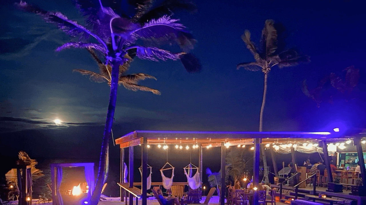 A beachside bar illuminated at night with palm trees, decorative lights, and a moonlit ocean in the background.